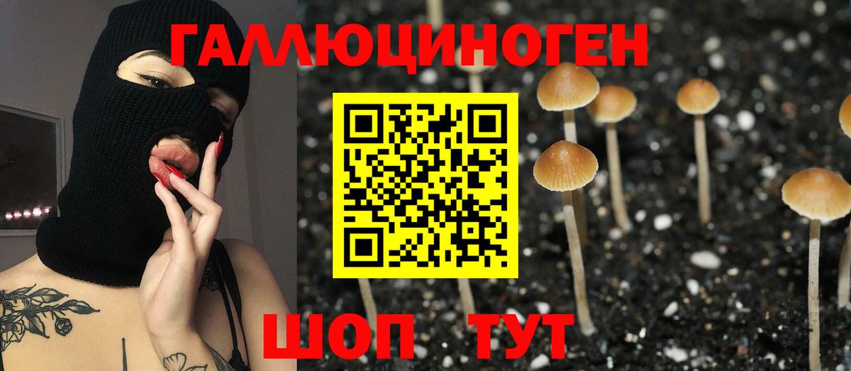 Псилоцибиновые грибы мицелий Озёры