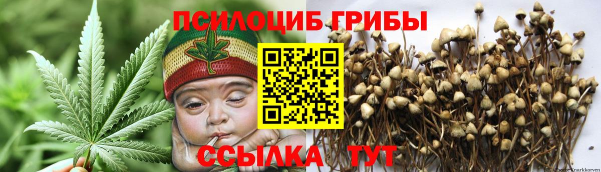 Озёры  Псилоцибиновые грибы MAGIC MUSHROOMS  Вход с VPN 